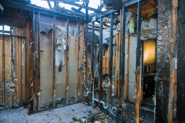 Professional Smoke Damage Removal technician working in Morenci, AZ